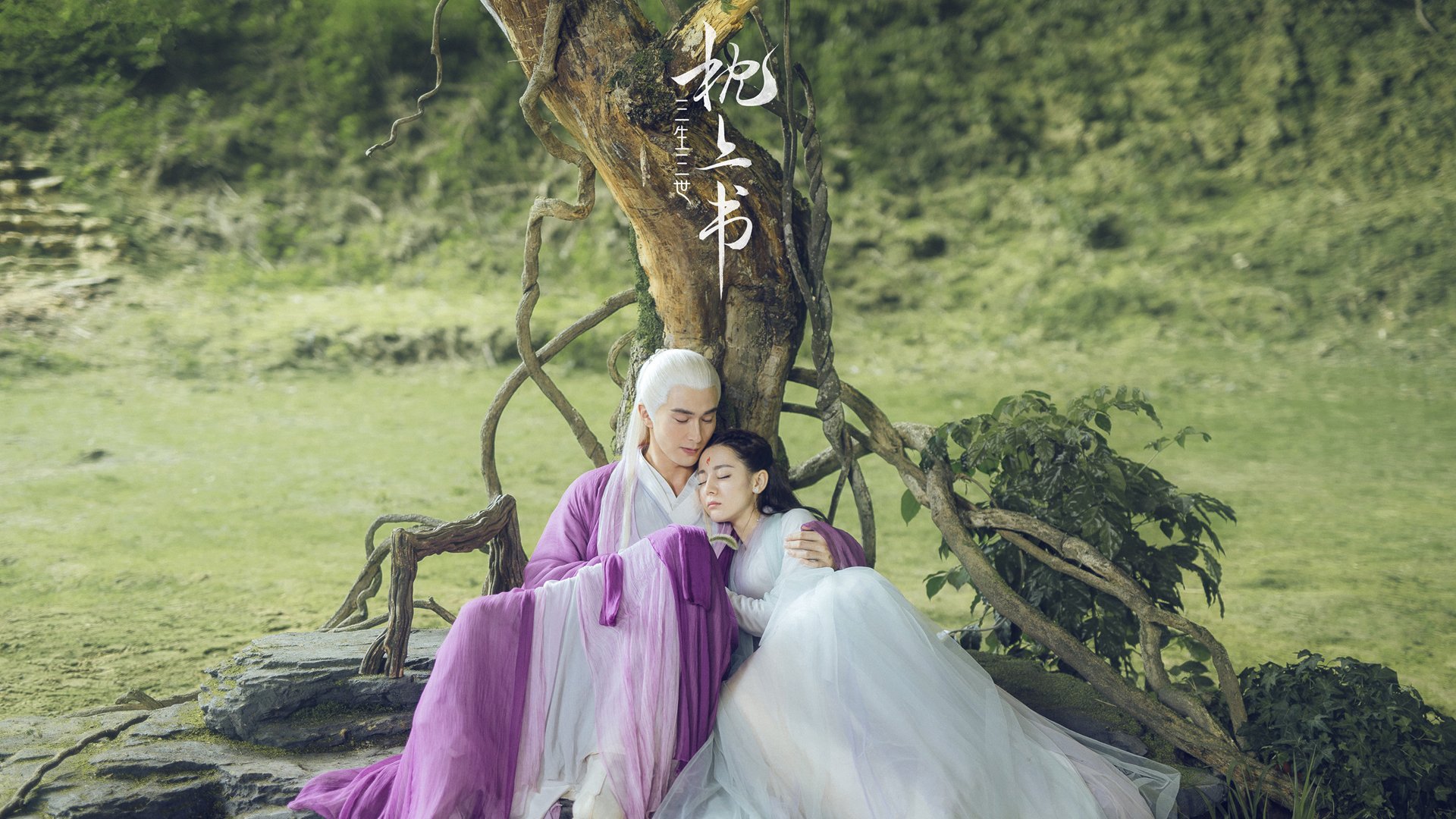 【“云端裁判”技术】技术远程助阵,比赛现场更公正!,2000万像素照片分辨率