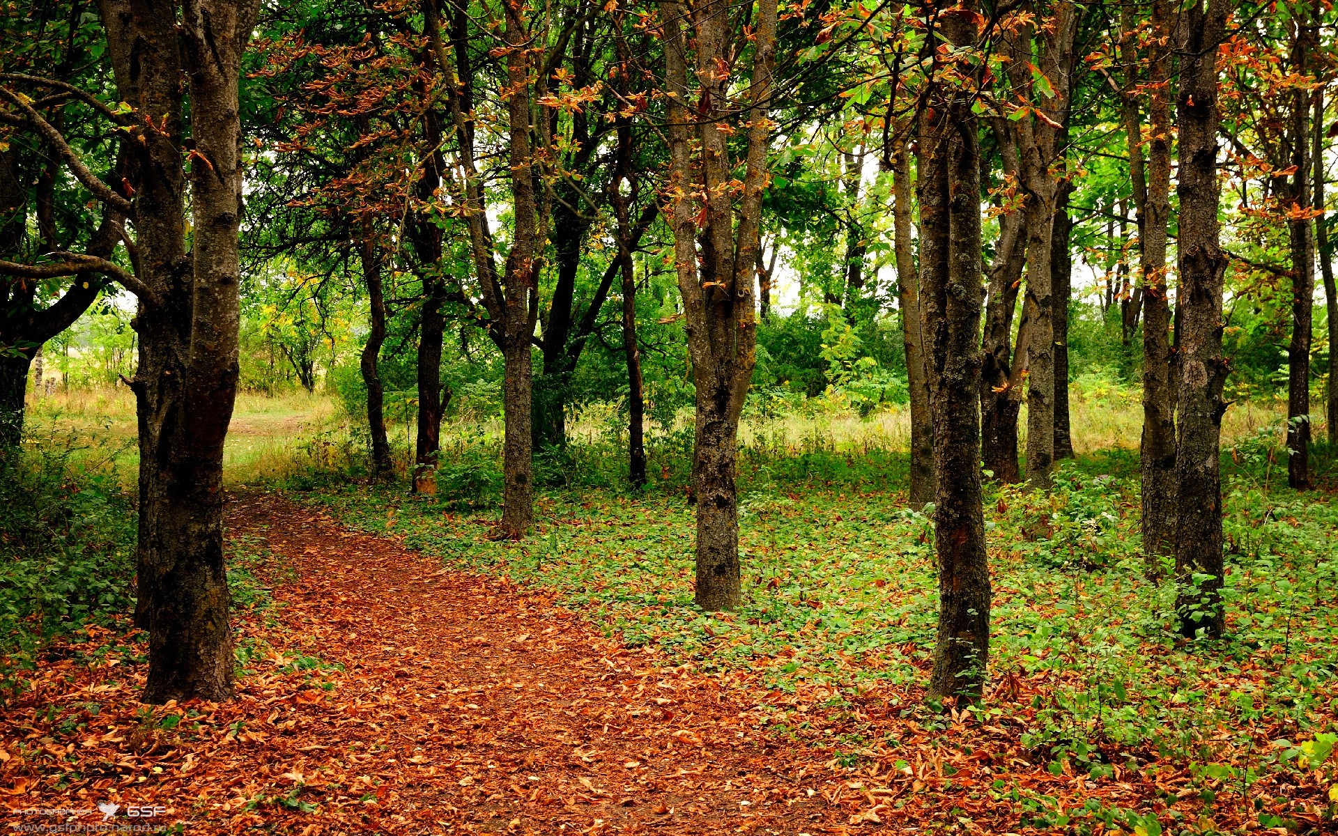 总冠军争夺战即将开启，谁能笑到最后？，总冠军什么时候打