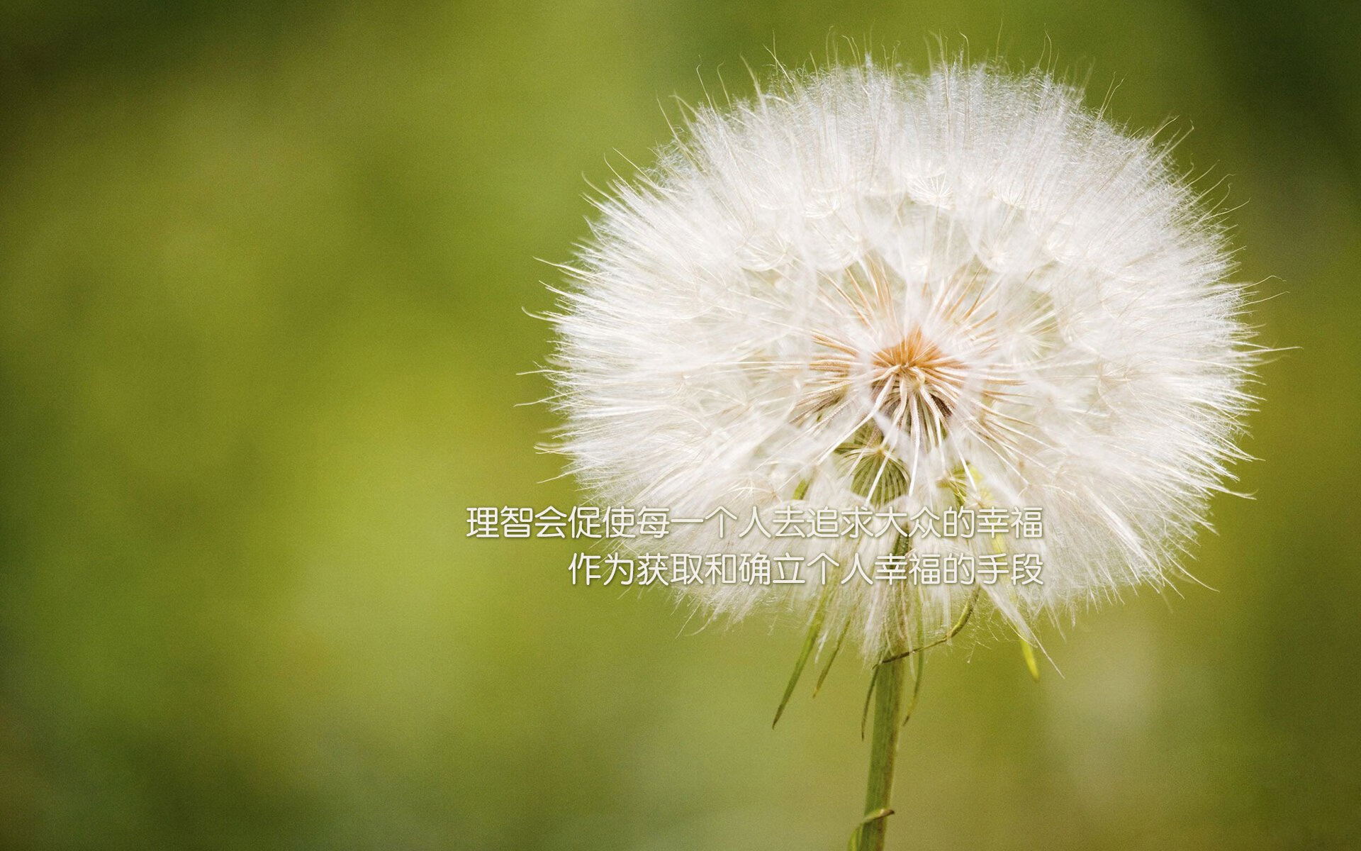 爱游戏官方-库里：仿佛“天外飞仙”的远射标志新时代！，库里 超远