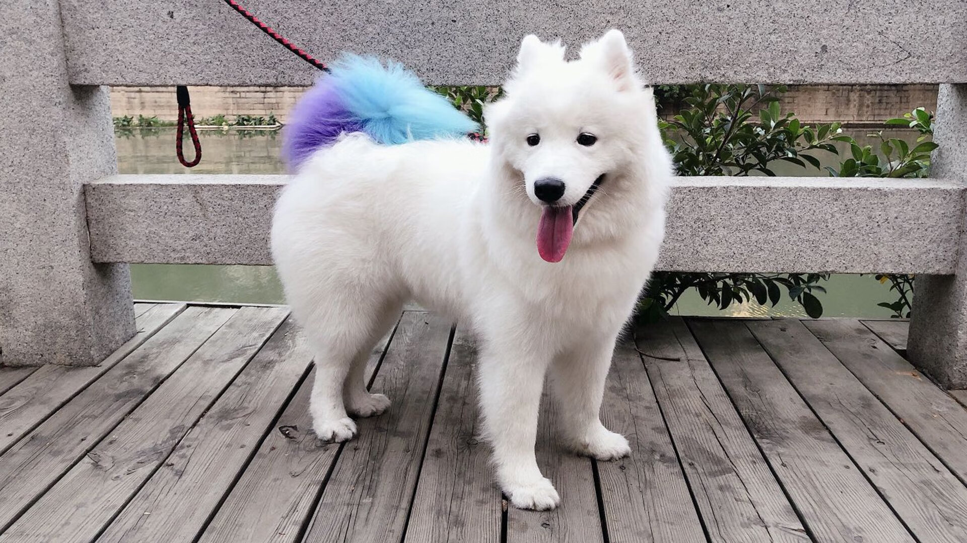 爱游戏体育（AYX）官方APP下载-意大利骑手弗洛尔·德·温内在2024年欧洲三项赛锦标赛中以“Thunder”马匹获得个人铜牌，表现出色。